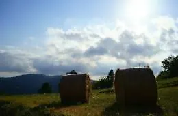 Musolesi Madonna di Fornelli