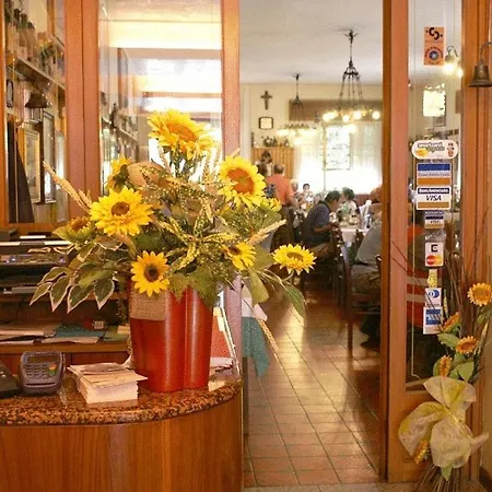 Musolesi Hotel