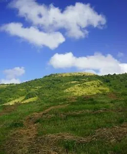 Ξενοδοχείο Musolesi 3*