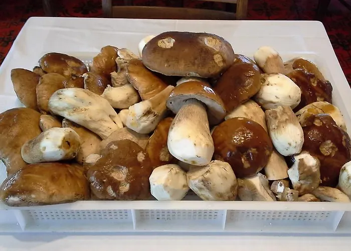 Musolesi Hotell Madonna di Fornelli